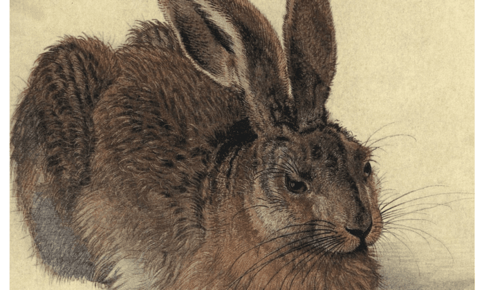 It’s All in the Details: Dürer’s ‘Young Hare’