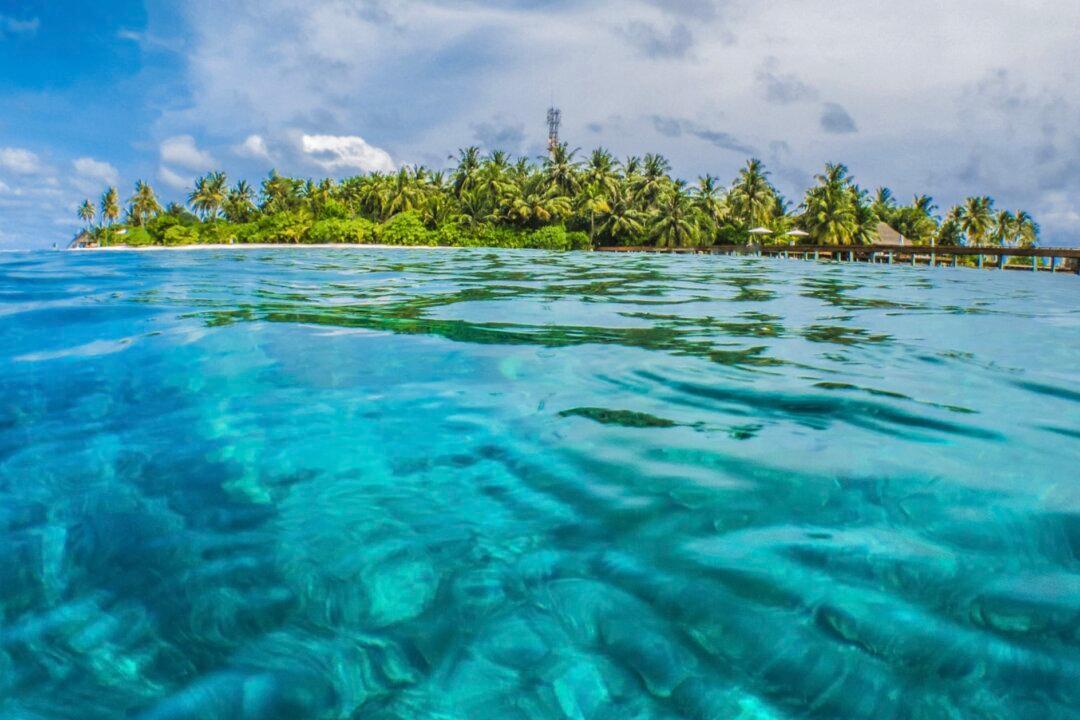 This Marine Delicacy May Deter Diabetes