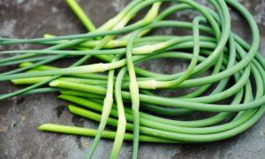 Garlic Scapes: How to Cook With These Short-Lived Seasonal Treasures