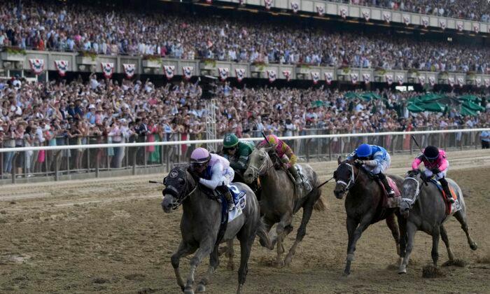 2 Horses Die at Belmont Park After Belmont Stakes