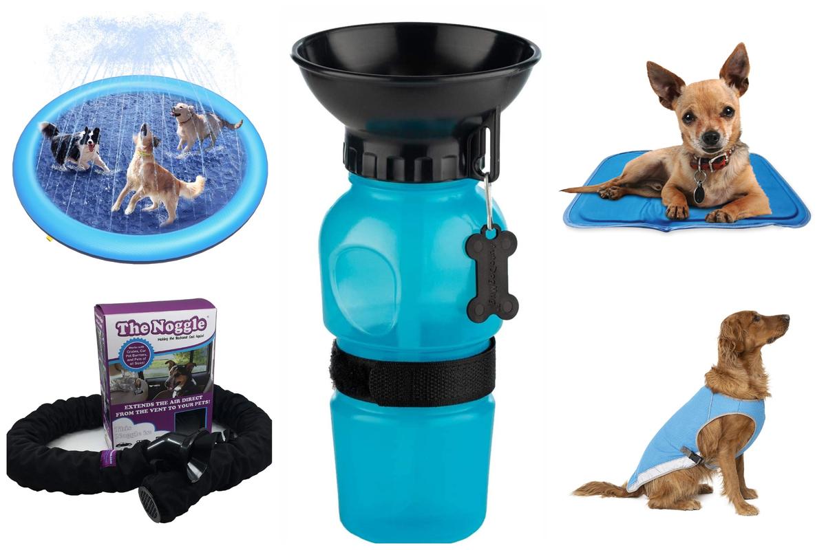 Summertime Pet Essentials