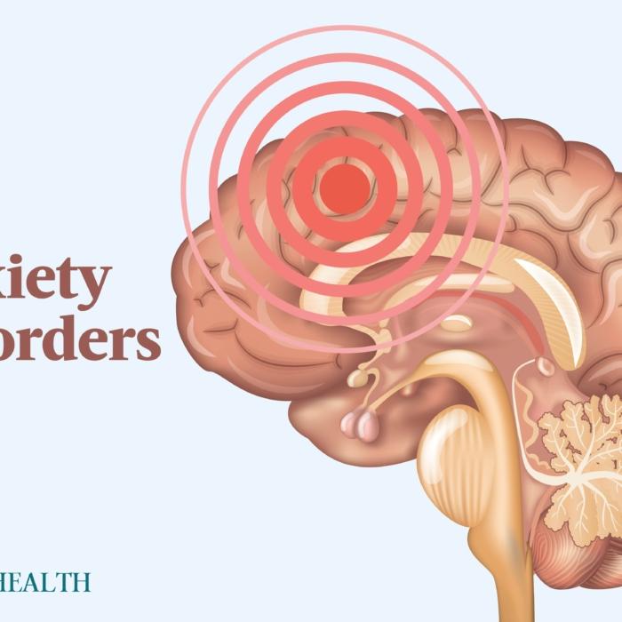 The Essential Guide to Anxiety Disorders: Symptoms, Causes, Treatments, and Natural Approaches