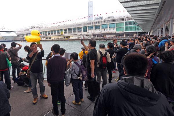 Ten years ago, on June 9, 2013, the yellow duck left Hong Kong, (Tzoi-shu Poon/The Epoch Times)