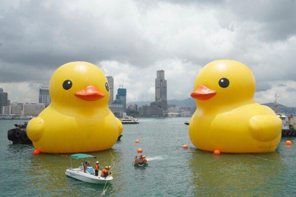 On June 9, 2023, two yellow ducks officially arrived at Victoria Harbour and met with citizens. (Benson Lau/The Epoch Times)