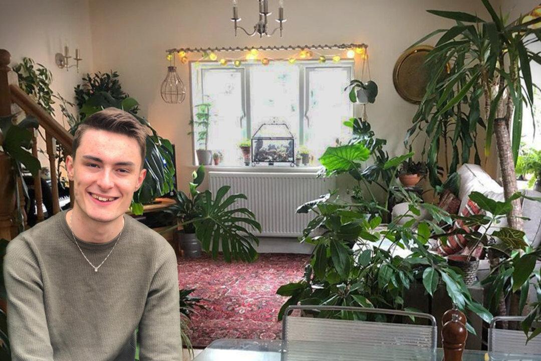 Young Man Fills His One-Bedroom Home With 1,400 Plants: ‘It Takes My Mind Off Overthinking’