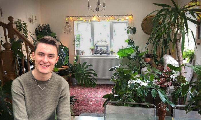 Young Man Fills His One-Bedroom Home With 1,400 Plants: ‘It Takes My Mind Off Overthinking’