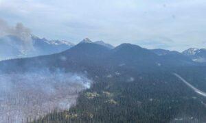 Poor Forest Management to Blame for Canada’s Wildfires, Not Climate Change