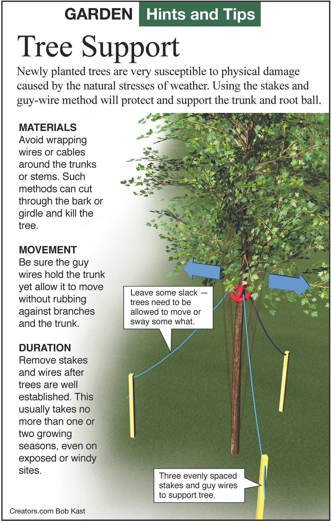 tree support tip sheet