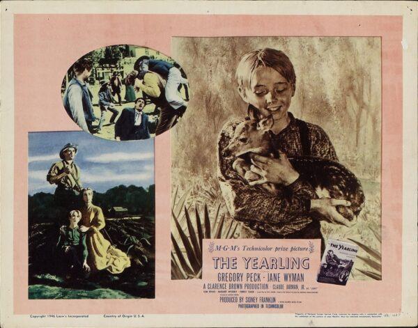 Lobby card for a film about a boy who takes on responsibility for raising a young deer, in "The Yearling." (MovieStillsDB)