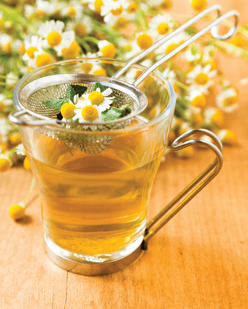 (Courtesy of Skyhorse Publishing)