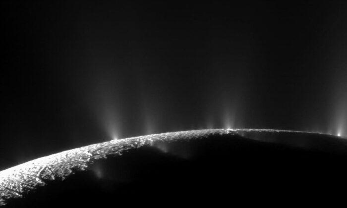 Saturn’s Icy Moon Enceladus Harbors Essential Elements for Life