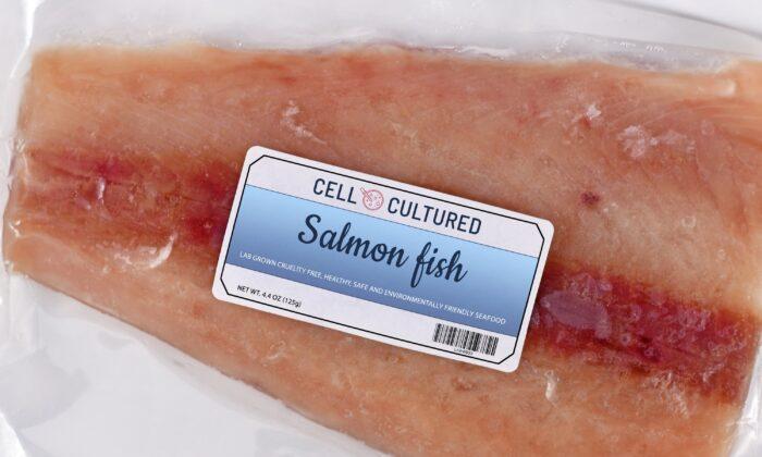 From Lab to Plate: The Future of Cell-Based Seafood