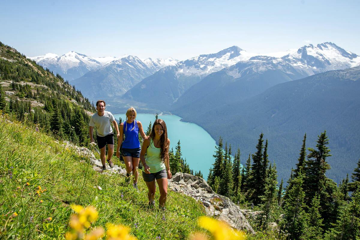 A group enjoys a summertime hike on Whistler Mountain in British Columbia. (Photo courtesy of Tourism Whistler/Mark Mackay)