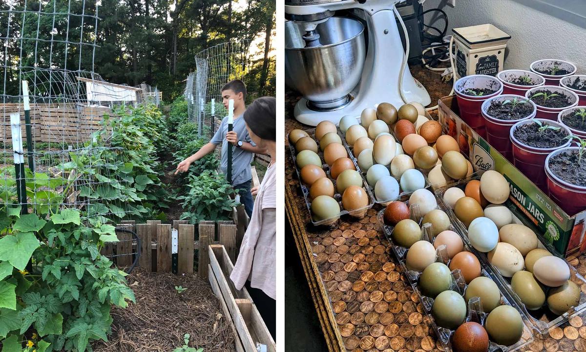 (Left) Wilder family members tend their garden; (Right) A harvest of fresh eggs from their brood of 30 hens. (Courtesy of <a href="https://www.youtube.com/@TheTexasBoys">The Texas Boys</a>)