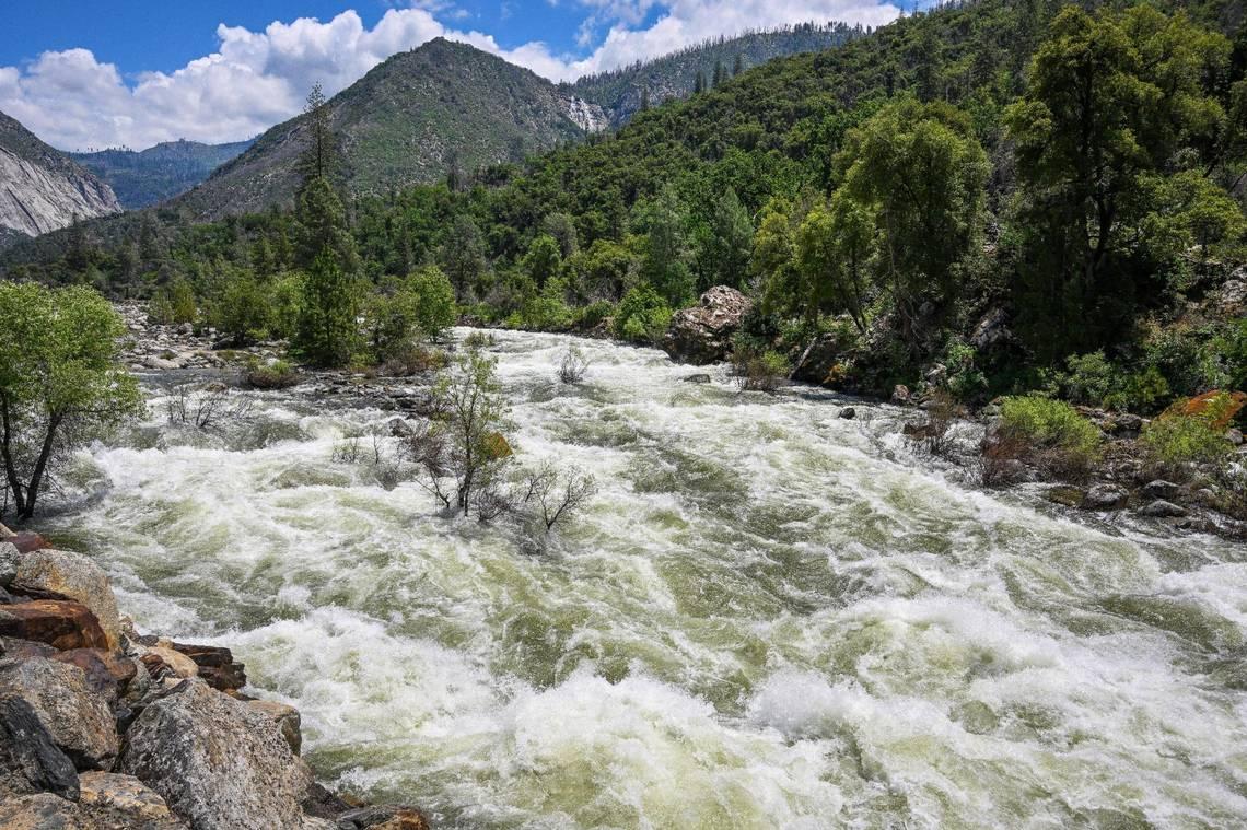 The Merced River rages with white water down the river canyon outside of Yosemite National Park near El Portal as the snowmelt continues following an historic year for snow, on Tuesday, June 14, 2023. (Craig Kohlruss/The Sacramento Bee/TNS)