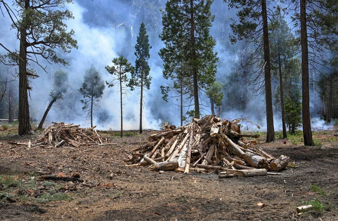 Wood piles are stacked up off Southside Drive in Yosemite National Park as a control burn takes place on Tuesday, June 14, 2023. (Craig Kohlruss/The Sacramento Bee/TNS)