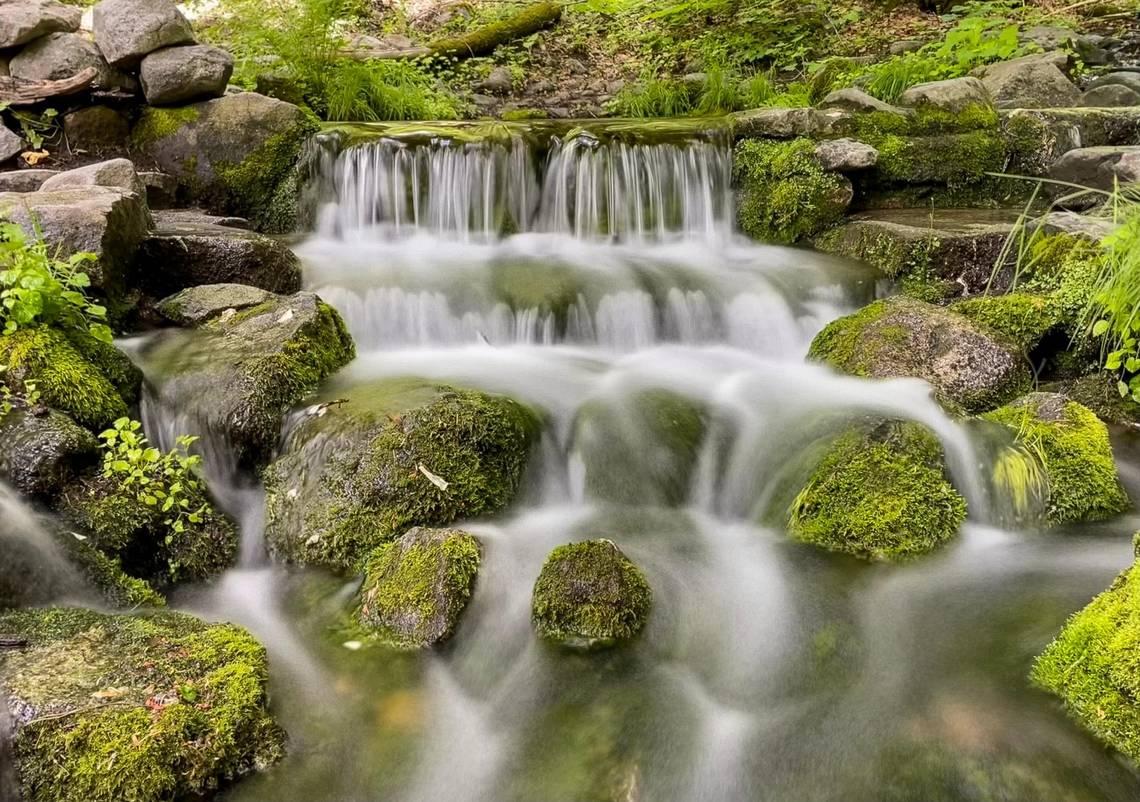 Water from Fern Spring calmly flows over small rocks in this long exposure photographed in Yosemite National Park on Tuesday, June 14, 2023. (Craig Kohlruss/The Sacramento Bee/TNS)