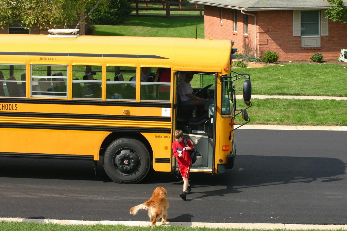 Commentary: The Nature of a Summer Vacation