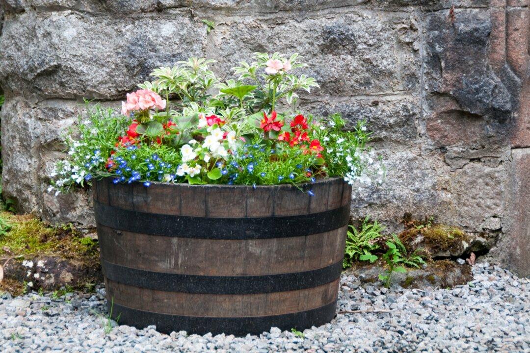 Waterlogged Barrel Planter