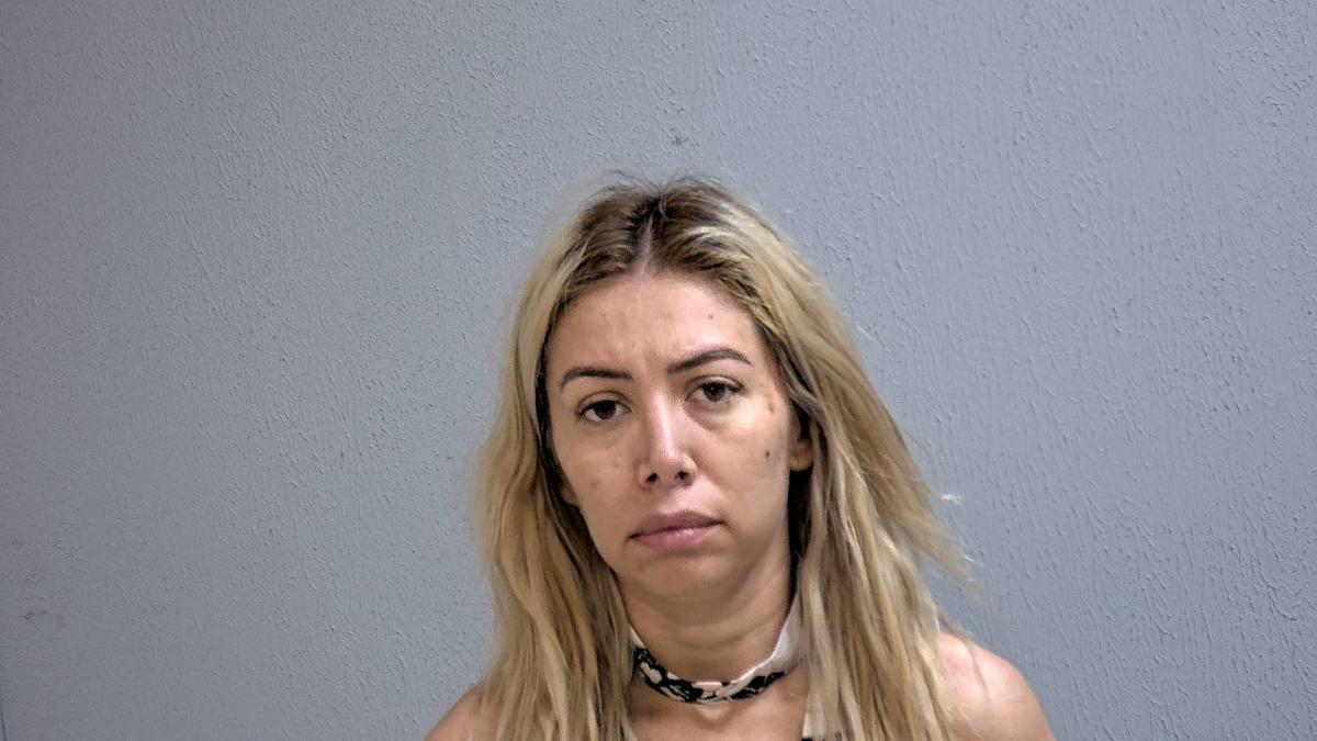 Judge Dismisses Case Against Mexican Woman Caught With 93 Pounds of Cocaine at Border