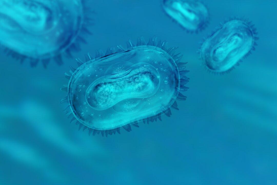 Sexual Monkeypox Spread Sparks Outbreak Concerns