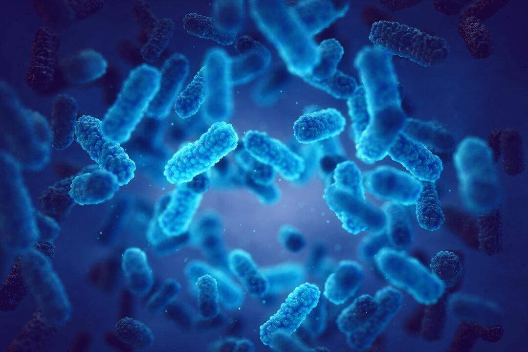 Fatal Flesh-Eating Bacteria Arrives in New York State, Kills 3 People
