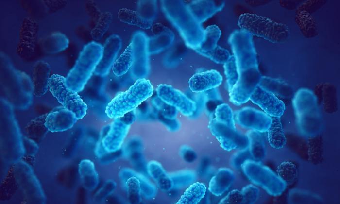 Fatal Flesh-Eating Bacteria Arrives in New York State, Kills 3 People
