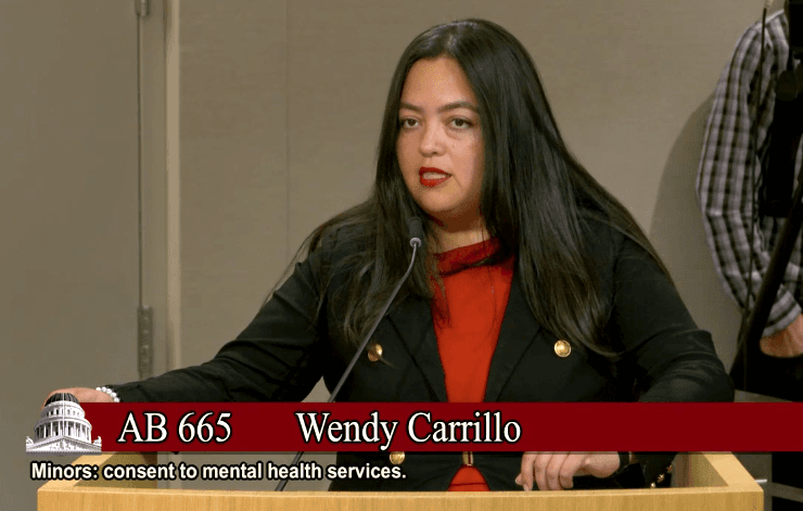 Assemblywoman Wendy Carillo speaks at a state Senate committee meeting in Sacramento on June 20, 2023. (Screenshot via Senate Judiciary Committee)