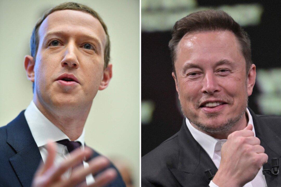 Musk, Zuckerberg ‘Dead Serious’ About Cage Fight in UFC Octagon: Dana White