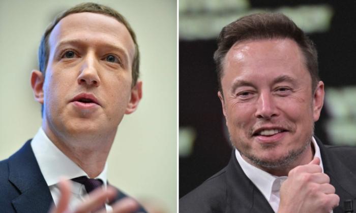 Facebook’s Zuckerberg Responds to Cage Match Challenge From Twitter’s Musk