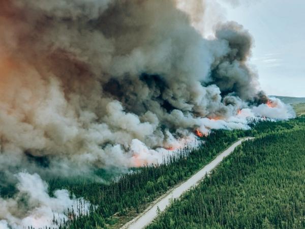 A controlled burn is seen on the edge of a wildfire numbered 334 near Mistissini, Que., in a June 6, 2023, handout photo. (The Canadian Press/Ho-Sopfeu, Genevieve Poirier)