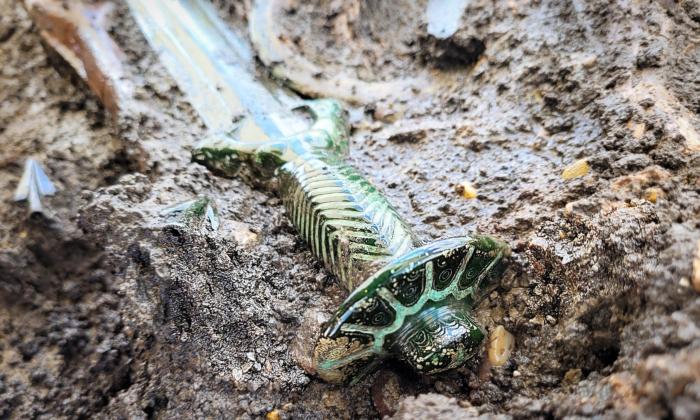 Archeologists in Germany Find 3,000-Year-Old Bronze Age Sword So Well-Preserved It ‘Almost Still Shines’