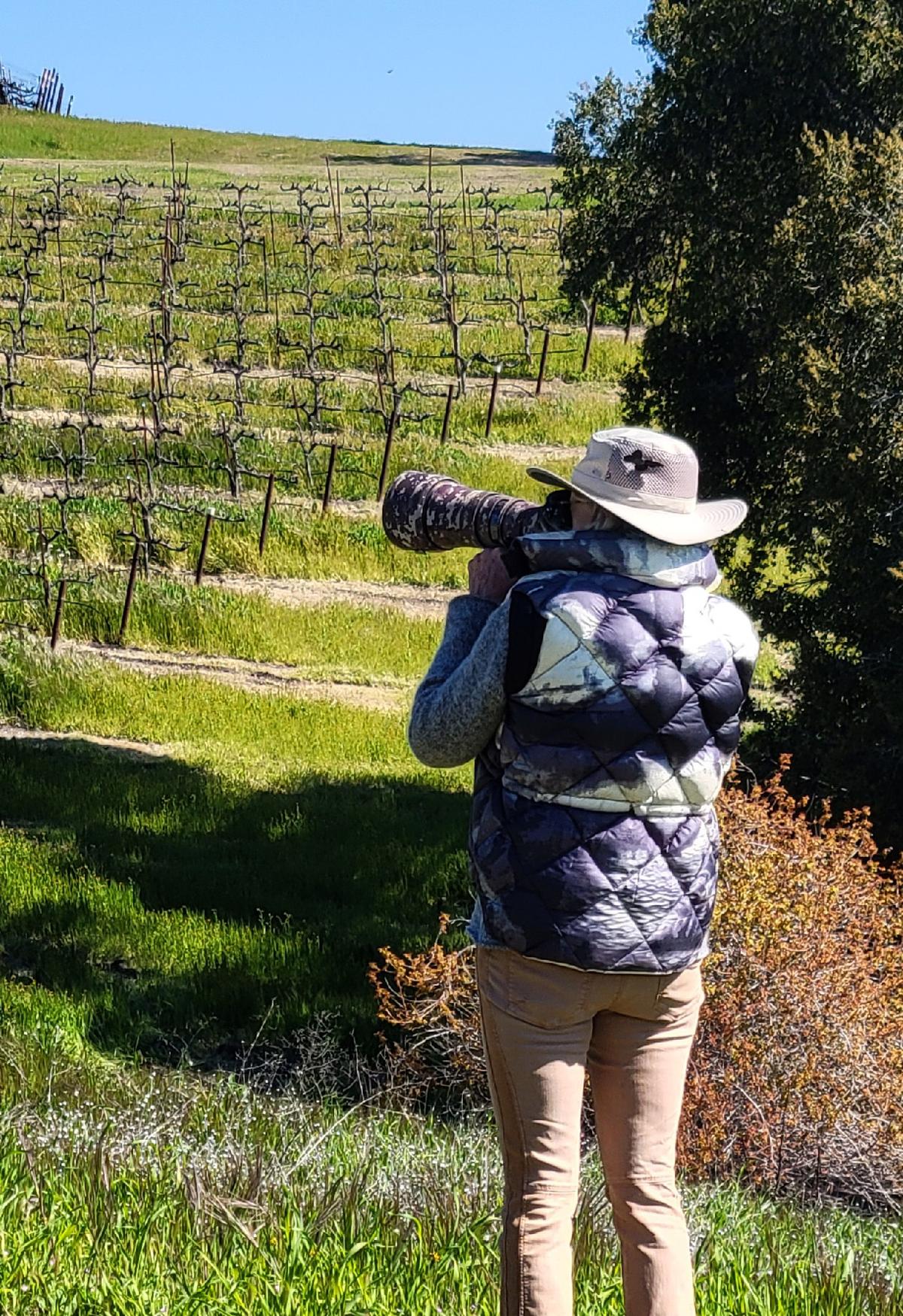 A bird-watcher and photographer enjoys a day at Calcareous Vineyards in Paso Robles, California. (Photo courtesy of Jim Farber)