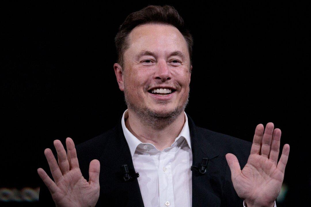 Musk Will Train If Las Vegas Martial Arts Cage Match With Zuckerberg Takes Hold