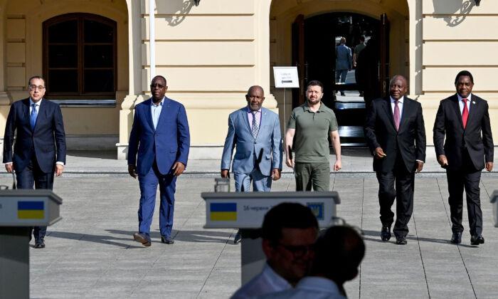 Deepening Mystery of South Africa’s ‘Militia’ on Peace Mission to Ukraine