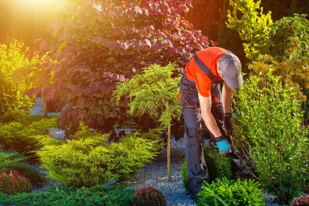 Summer Gardening To-do List