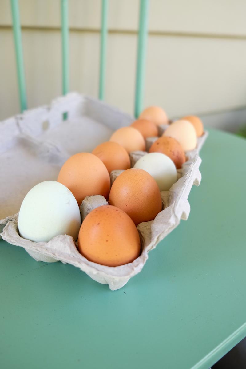  Farm-fresh eggs from the city that Camacho left as a gift on a neighbor's back door stoop. (Annie Holmquist)