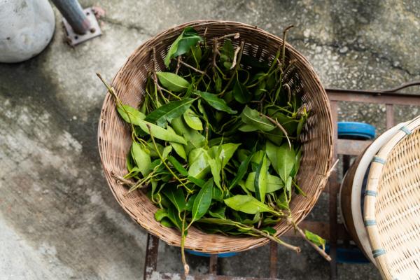 Pomelo leaves are added to the basket to symbolize purification. (Benson Lau/The Epoch Times)