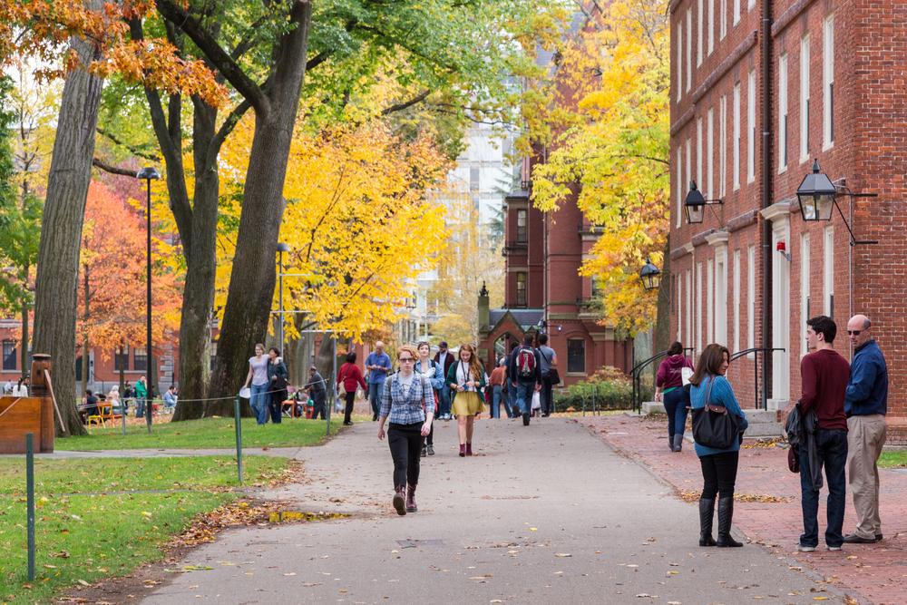 Harvard Yard, old heart of Harvard University campus, in Cambridge, Mass., in 2013. (Jannis Tobias Werner/Shutterstock)
