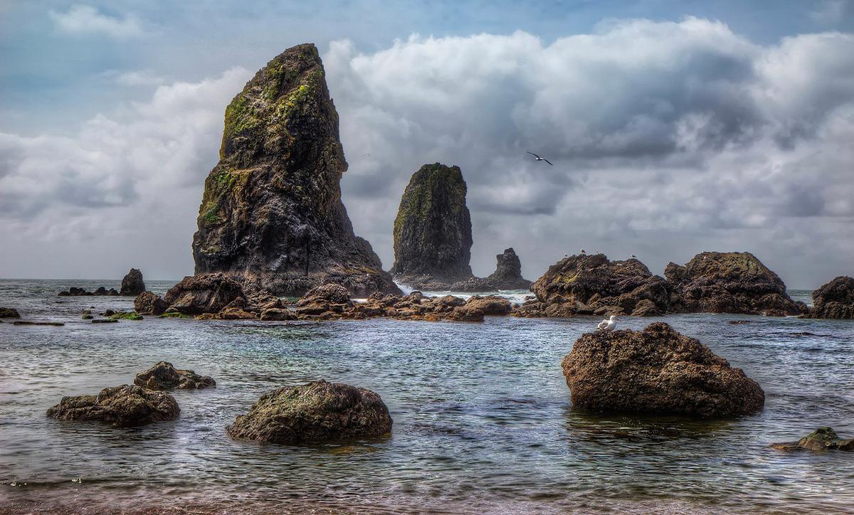 The Needles rock formation in Oregon. (<a href="https://en.wikipedia.org/wiki/Haystack_Rock#/media/File:The_needles_at_Cannon_beach.jpg">Tiger635</a>/<a href="https://creativecommons.org/licenses/by-sa/3.0/">CC BY-SA 3.0</a>)