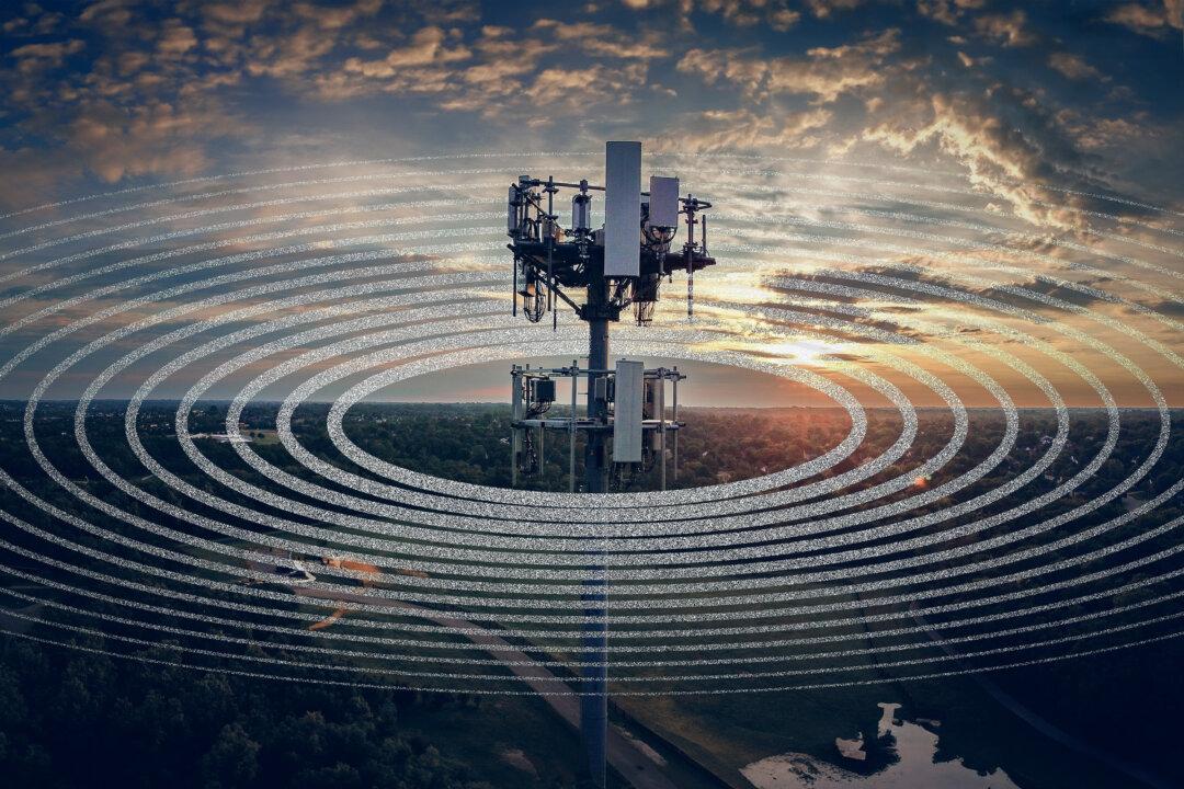 Why Are Scientists Concerned About 5G?