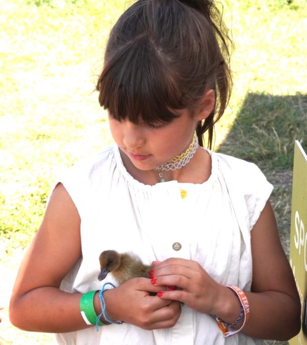 A young girl holds a newly hatched duckling at The Modern Homesteading Conference on June 30, 2023. (Allan Stein/The Epoch Times)