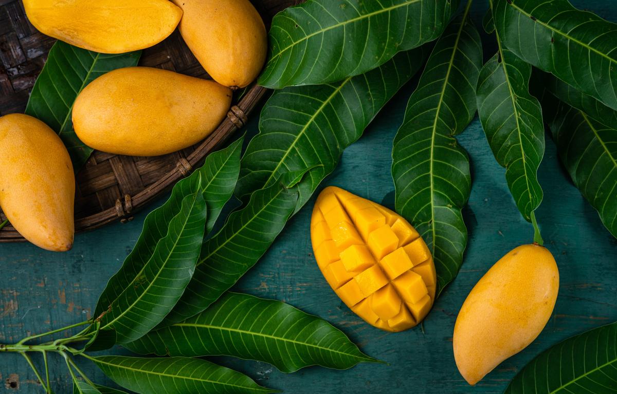 Miami Chef’s Guide to All Things Mango