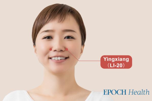 Yingxiang acupoint is located near the midpoint of the outer edge of the nose, in the depression in the nasolabial fold. (The Epoch Times)