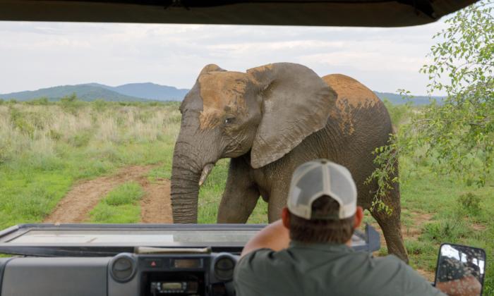 Madikwe: The Most Amazing Game Reserve You’ve Never Heard Of