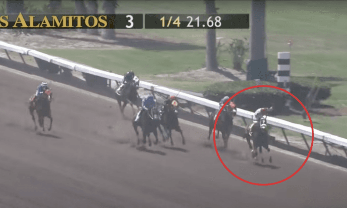 3 More Horses Die at Southern California Race Tracks