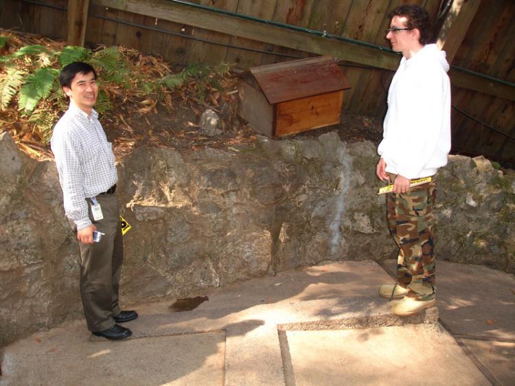 Smaller people seem larger, and larger smaller, when standing in certain places at the Mystery Spot, located in the woods outside Santa Cruz. (Katharina Volkers/The Epoch Times)