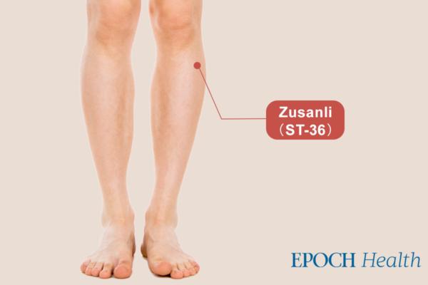 Zusanli acupoints. (The Epoch Times)
