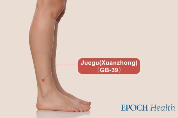 Juegu(Xuanzhong) acupoints. (The Epoch Times).