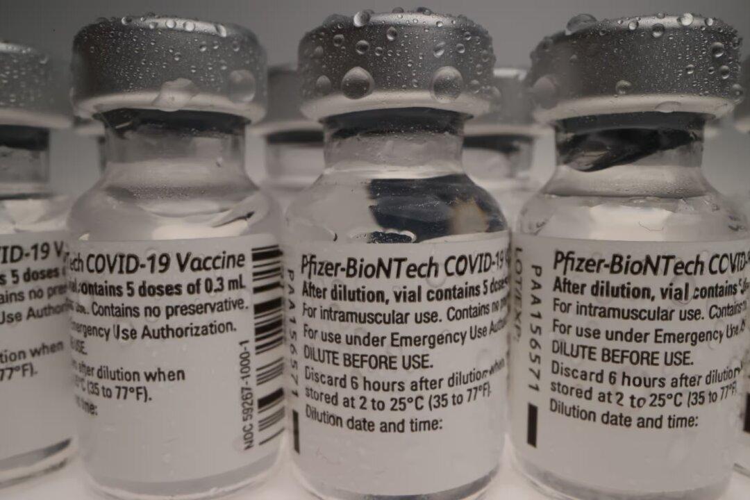 German Scientists Uncover Evidence That EU Pfizer-BioNTech Batches Included Placebos